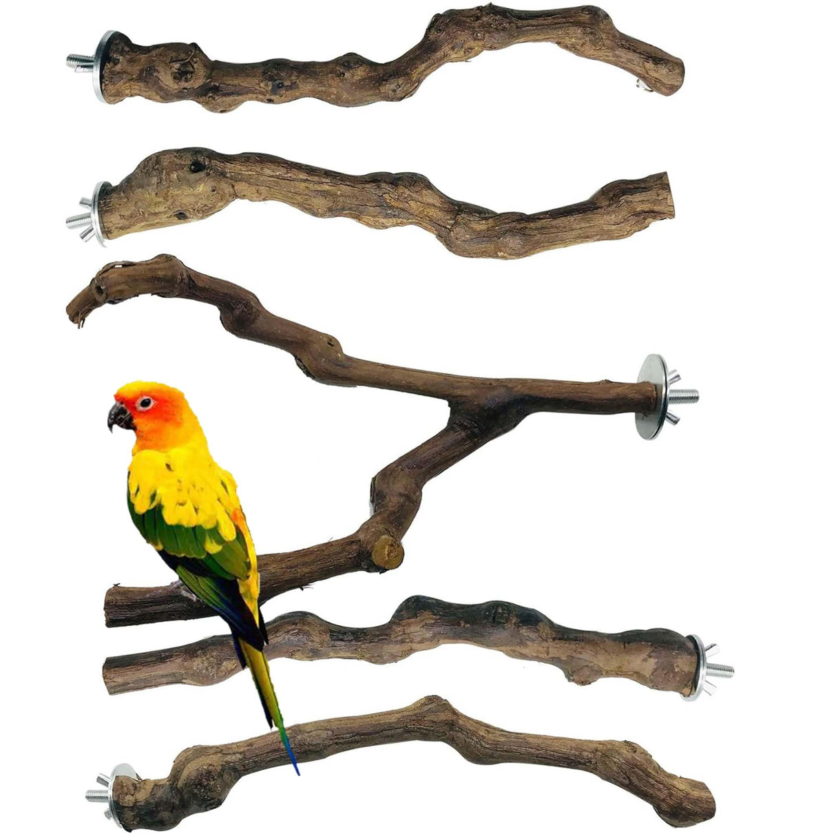 Allazone 5 PCS Natural Grape Stick Perch Swing Chewing Toys for Parrot Cages, Cockatiels, Parakeets, Finches - Bird Standing Stick