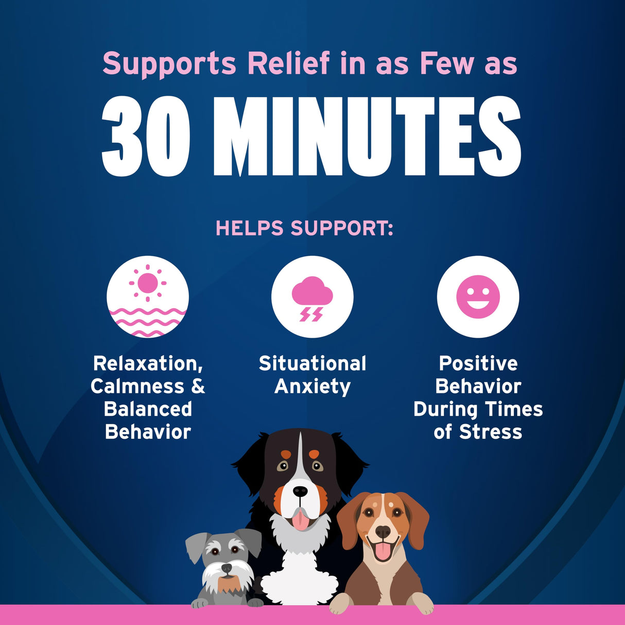 Pet Protect Fast-Acting Calming Supplement for Dogs, Vet-Formulated Tranquilify, Chicken-Flavored Soft Chews (60 Count)
