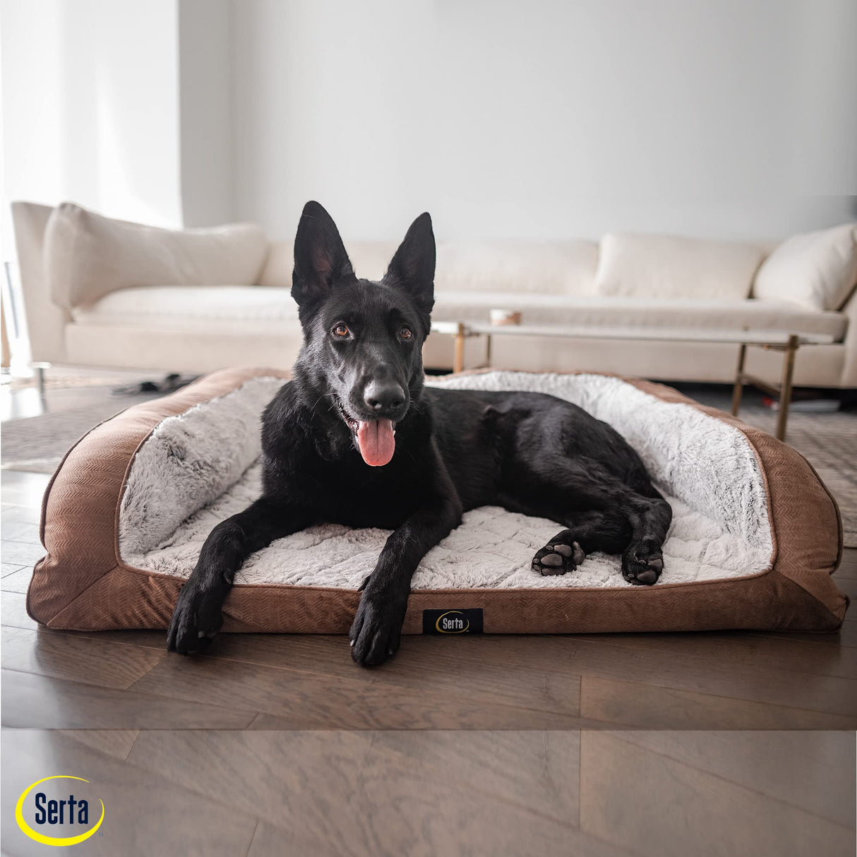 Serta Orthopedic Quilted Couch Dog Bed for Pets – Chocolate Brown (Small)