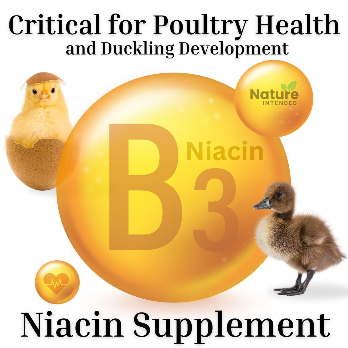 Brewer's Yeast + Probiotics + Niacin + Vitamins Supplement for Ducks, Chickens and Poultry. (Molt Recovery, Severe Stress, Egg Quality and Development) 10-Ounce Resealable Foil-Lined Pouch