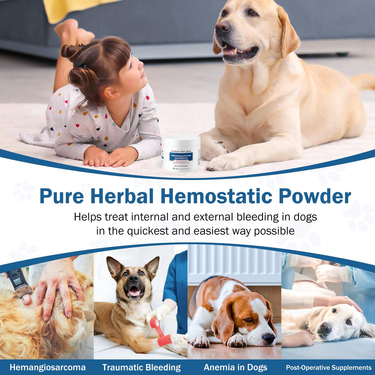 Quick Stop Bleeding for Dogs, Natural Yunnan Sanqi & Herbal Powder, Supports Internal Bleeding, Hemangiosarcoma, Bloody Stools, Post-Surgical Recovery, Ulcers, Severe Bruising, 60g