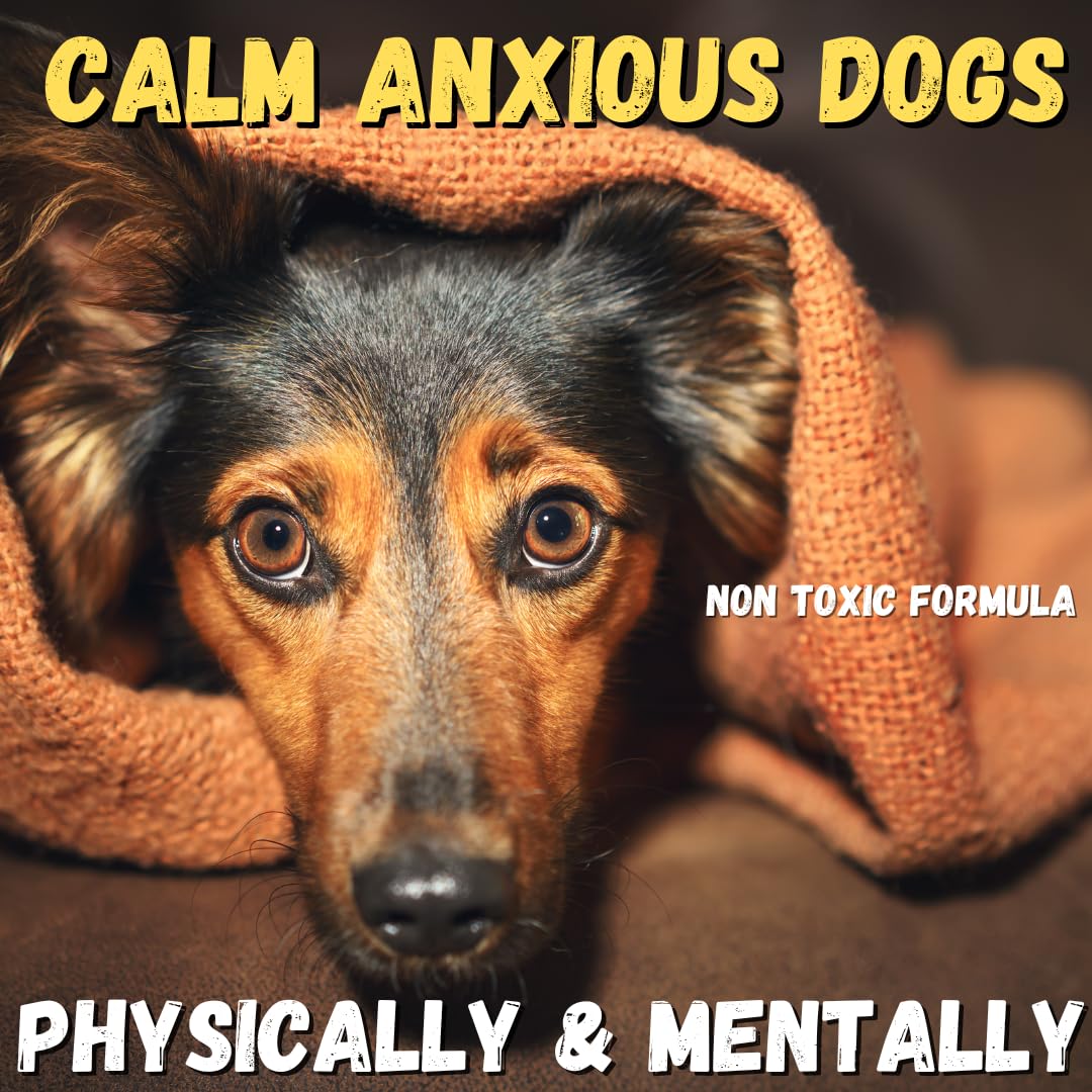 KELEBS Dog Arnica Massage Oil | Pain Relief for Muscles, Arthritis, HIPS, and Joints | for Active & Senior Dogs | Organic Arnica-Infused Oil Blend – Only 5 Ingredients | Glass Bottle
