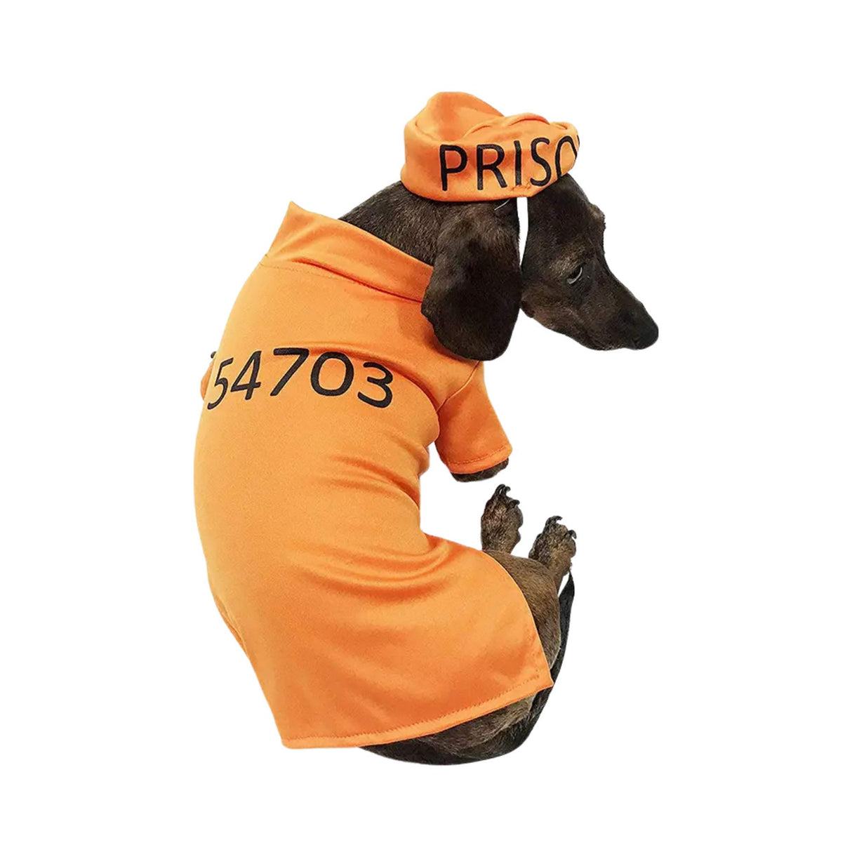 Midlee Orange Halloween Costume (XXX-Large)