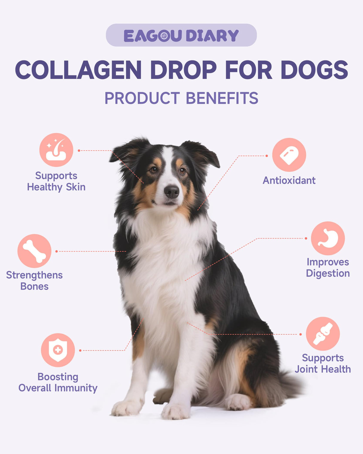 Collagen for Dogs - Dog Collagen Drops with Glucosamine, MSM, Biotin, VitaminC & E, Coconut Oil - Hip & Joint Supplement for Dog, Skin Coat Health, Gut & Immune Health, 60ml Collagen Drops for Dogs
