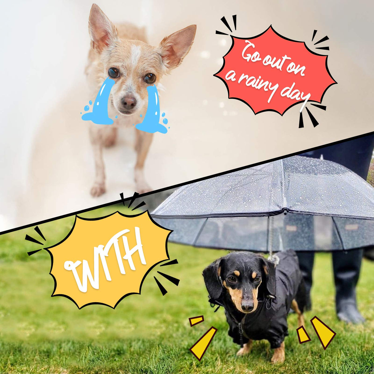 NAMSAN Clear Dog Umbrella for Small Dogs, Dog Umbrella Leash Keeps Dogs Dry in Rain Walking, Adjustable Leash, Self-Assembly