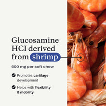 Load image into Gallery viewer, Petlab Co. Joint Care Chews for Dogs - High Levels of Glucosamine, Green Lipped Mussels, Omega 3 and Turmeric - Hip and Joint Supplement for Dogs to Actively Support Mobility, Packaging May Vary