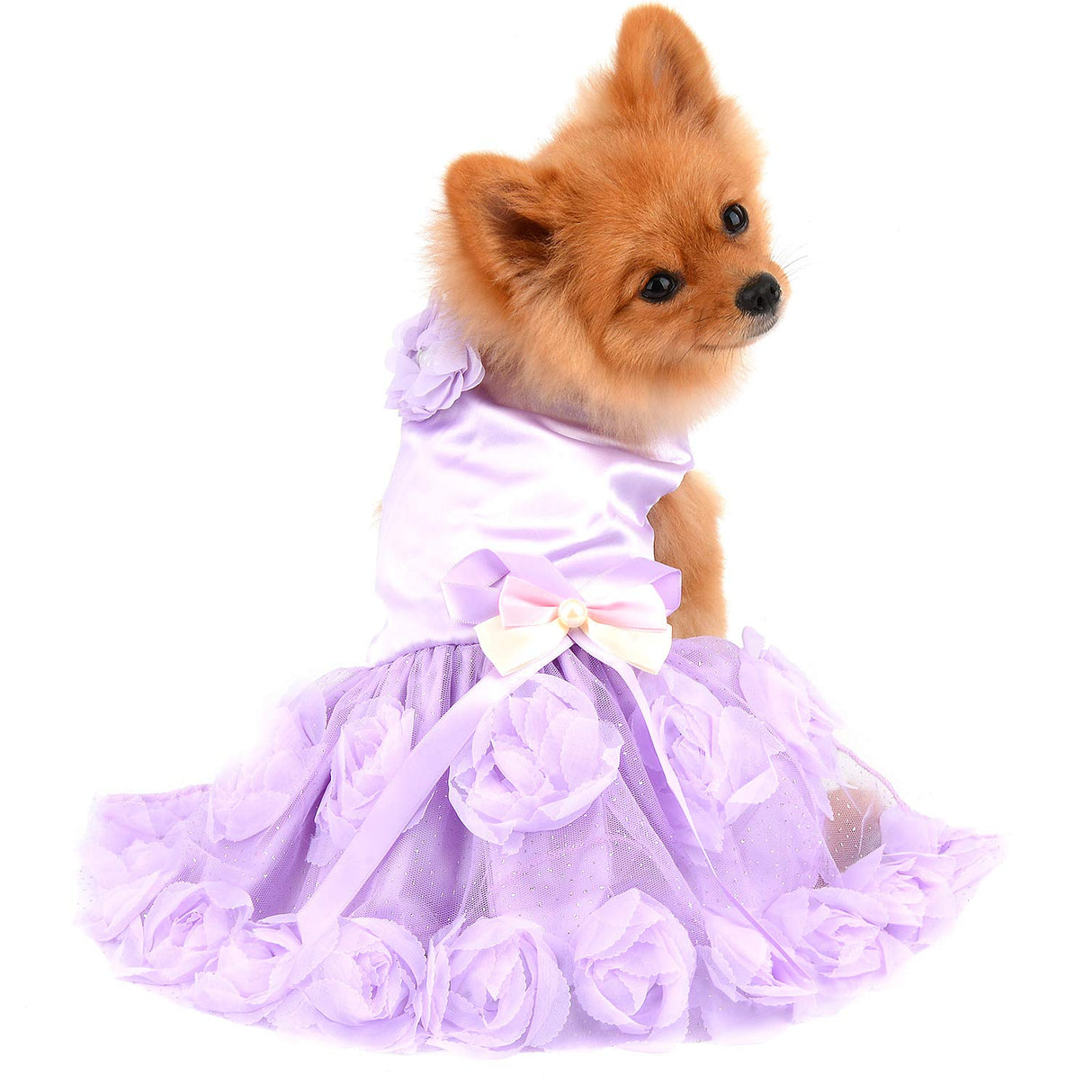 PAIDEFUL Pet Dress for Small Dog Girls Luxury Puppy Wedding Dress Rose Flower Lace Tutu Skirt Silky Bow Birthday Party Dog Clothes,Purple,Size XL
