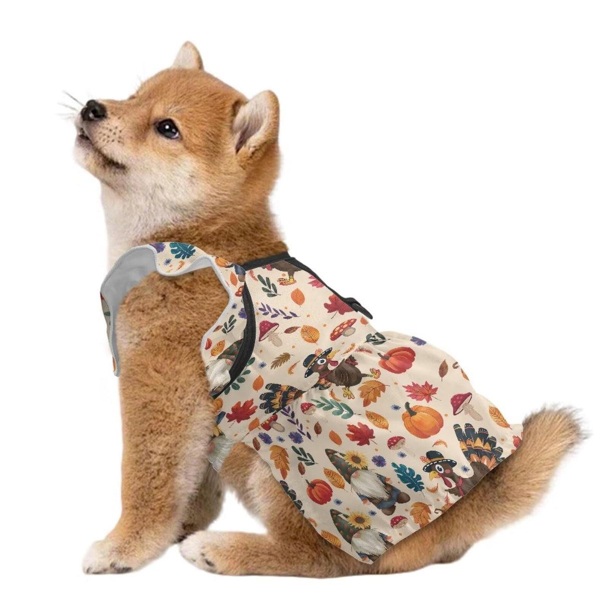 Wiryuouvt Autumn Turkey Gnome Dog Thanksgiving Outfit Fall Dog Dresses for Small Dogs Girl with Leash Ring & Sleeve Ruffles & Breathable, Light Weight Puppy Princess Dress Cat Pet Clothes Apparel