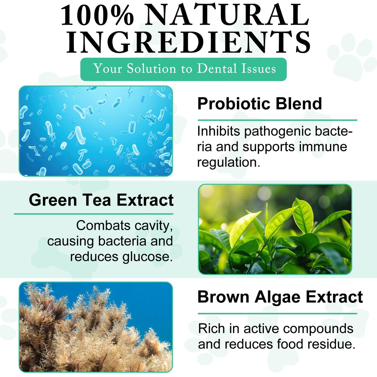 Dog Dental Powder - Pet Dental Powder - Teeth Cleaning P-owder for Dogs - Plaque & Bad Breath Off P-owder D-og, D-ental Care Supplies 100g