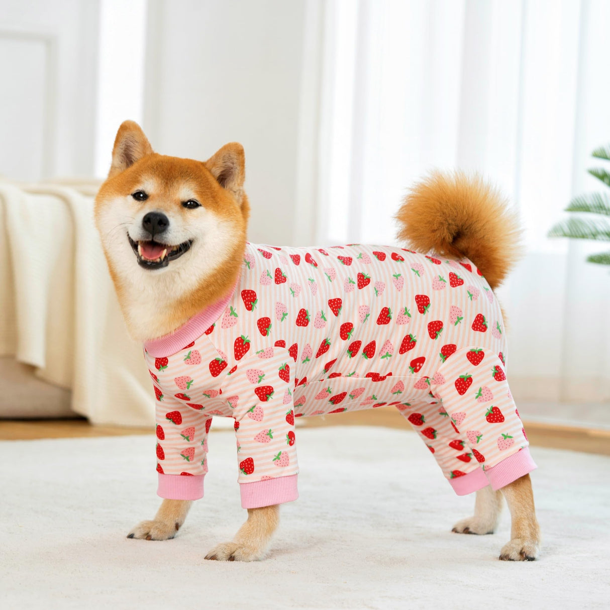 Pupsooft Recovery Suit for Dogs Full Zipper, Four-Legged Onesie Dog Recovery Suit After Surgery Cute Soft Bodysuit Cone Alternative Male Female Neuter Anti Licking Wounds (Pink Strawberry, Large)