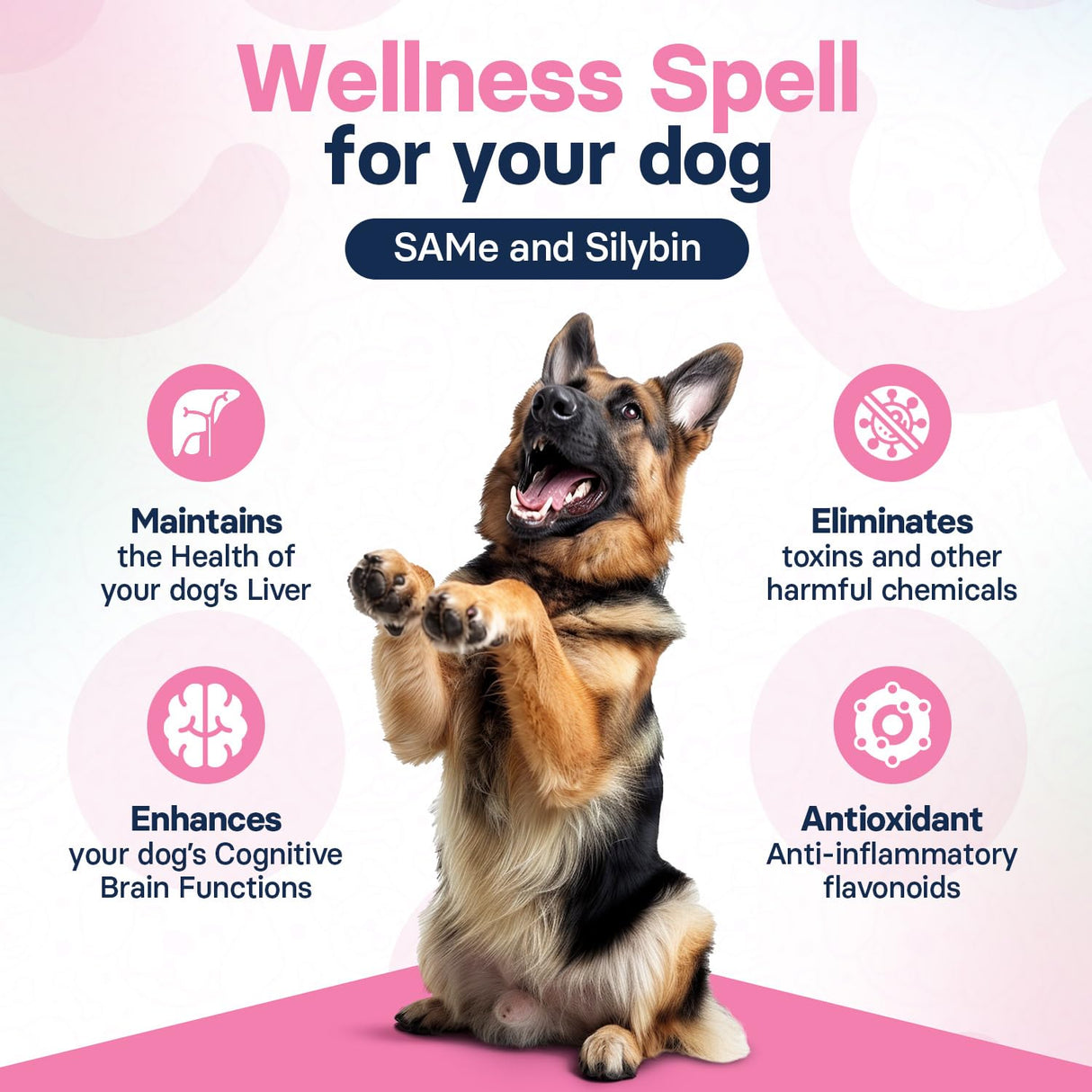 SilymarinAdvanced Liver Health Supplement for Large Dogs - Milk Thistle for Dogs Liver Support with S-Adenosylmethionine (Same) & Silybin - 30 Tablets