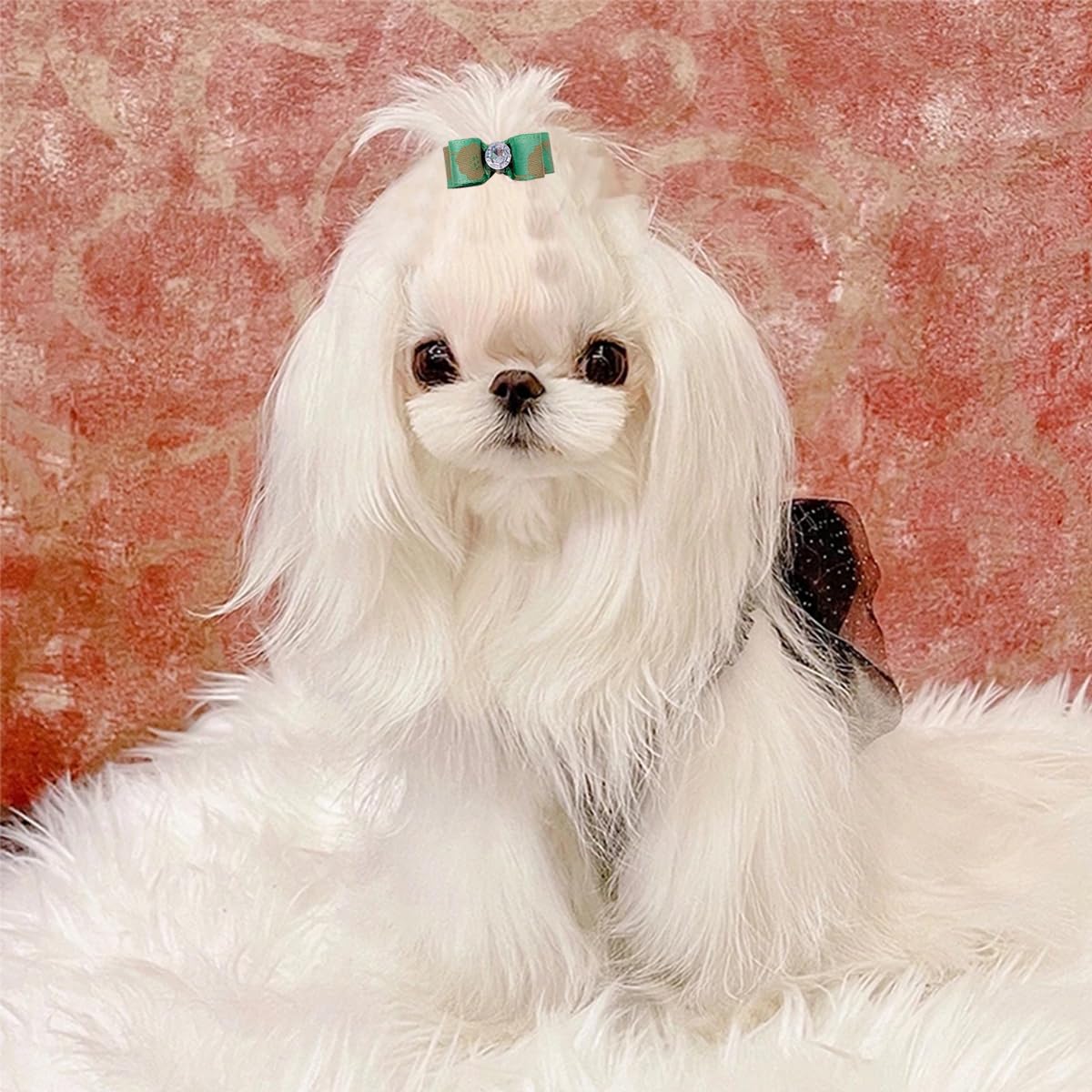 PET SHOW 100pcs Bulk 0.98inch*0.39inch Tiny Small Dogs Hair Bows with Rubber Bands Cat Puppies Yorkie Hair Topknot Grooming Accessories Mixed Matching Colors