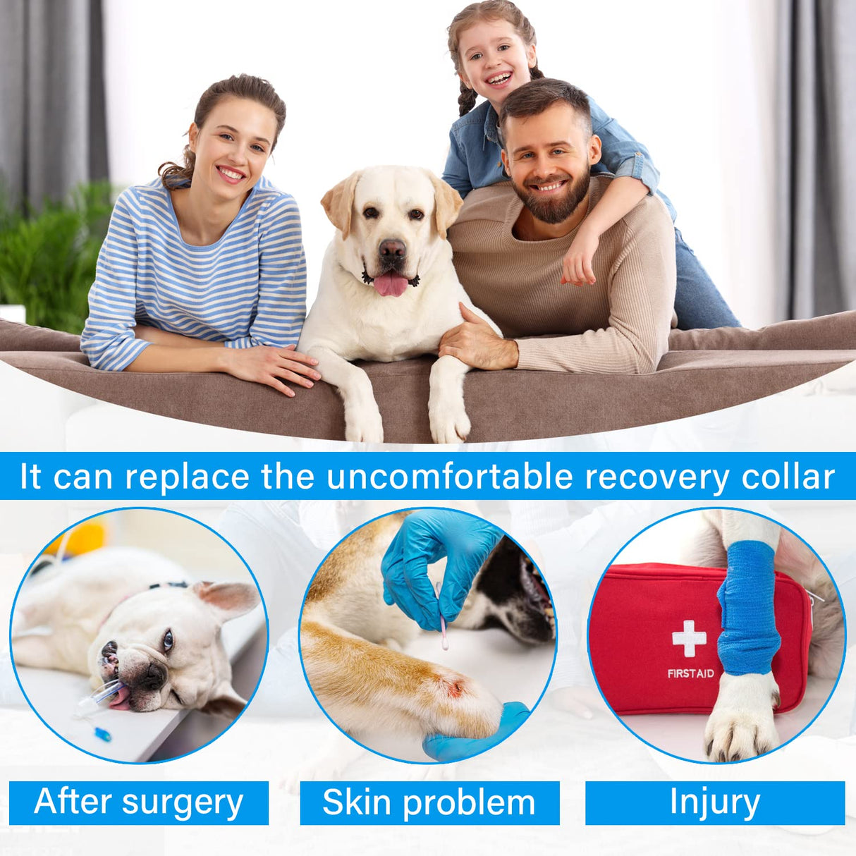 Etdane Recovery Suit for Dogs Surgery Suit Female Spay Dog Surgical Recovery Suit Male Dog Onesie for Surgery Female Anti Licking Wounds Dog Shedding Suit Purple/Large