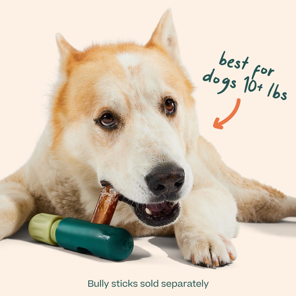WOOF BullySafe - Bully Stick Holder - Durable Dog Chew Holder for Safe, Long-Lasting Play - Easy to Clean - No More Swallowed Ends