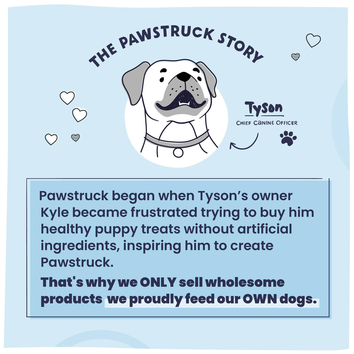 Pawstruck Natural 5-8" Bully Sticks for Dogs - Best Long-Lasting, Rawhide-Free, Low Odor Dental Chew Treat - Healthy Single Ingredient, 100% Real Beef - 8 oz Bag - Packaging May Vary