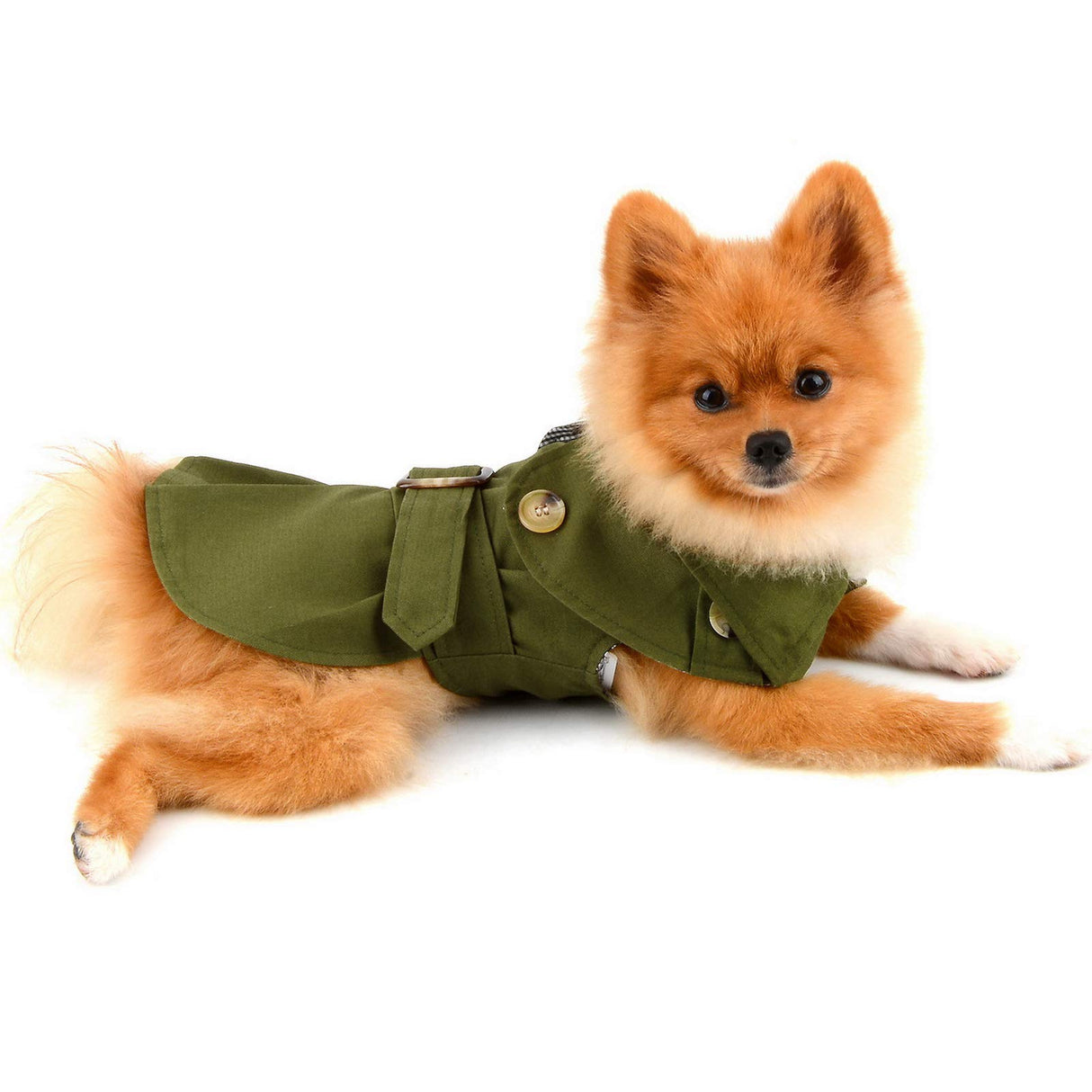 PAIDEFUL Pet Trench Coat for Small Dogs Girl Boy Windproof Fashion Western Jacket Belted Outerwear Autumn Winter Dog Clothes for Puppy Chihuahua Yorkie,Army Green,Size XXL
