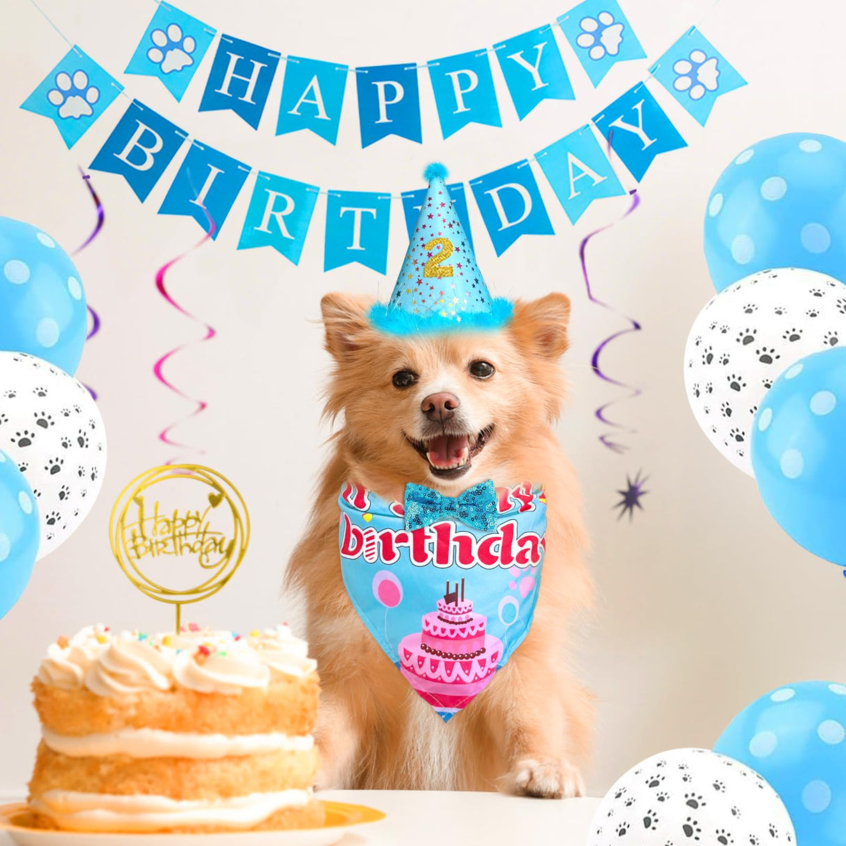 Floofelove 9Pcs Boy Gril Dog Birthday Decorations - Boy Dog Birthday Hat Party Supplies with Birthday for Dogs Hat Bandana Banner & Balloons Bow tie Outfits