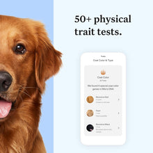 Load image into Gallery viewer, Wisdom Health Essential Dog DNA Kit | Most Accurate Test | 365+ Breeds | 30 Genetic Health Conditions | 50+ Traits, Relatives, Ancestry | Pack of 1