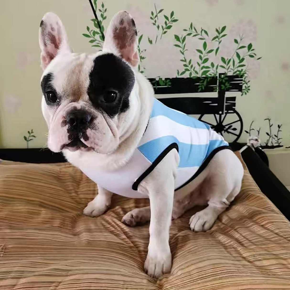 GabeFish Dog World Cup T Shirt Pets Football Jersey Sports Soccer National Team Vest Cat Summer Cool Clothes Apparel Argentina Small