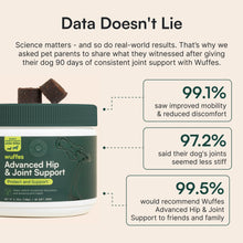 Load image into Gallery viewer, Wuffes Advanced Dog Hip and Joint Supplement with Glucosamine, Chondroitin, Omega 3, MSM, and Green Lipped Mussel, 120 Pork Flavored Chews for Small Dog Breeds