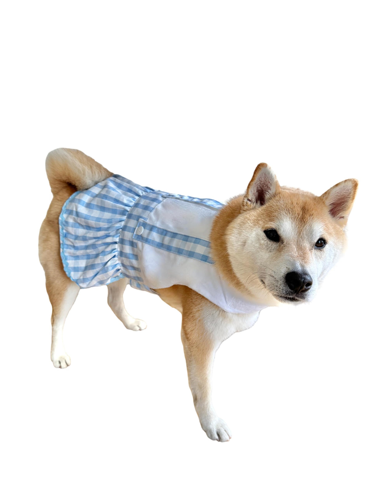 CheetahBoo Blue Plaid Oktoberfest Dog Costume XXL German Octoberfest Dress Beer Outfit Cosplay Halloween Costumes, S