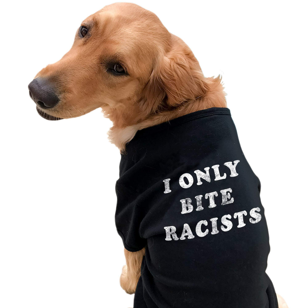 Funny Racist Dog Shirt – I Only Bite Racists Graphic Tee – Soft Cotton Clothes for Small to Extra Large Dogs – Political Pet Apparel for Protest or Statement Wear Black, M