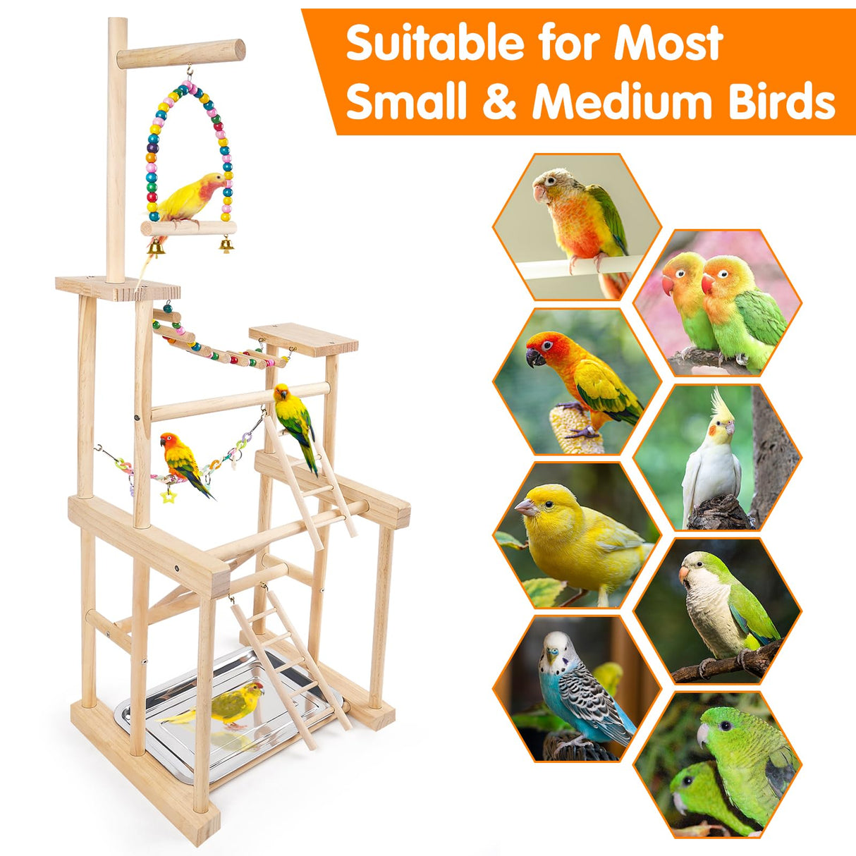 Chuiendi Bird Playground 4 Layer, Parrot Perch Stand Bird Play Stand for Parakeet Conure Cockatiel Lovebird Budgie, Parrot Playground with Feeder Cups, Ladder, Chain Toy, Swing and Detachable Tray