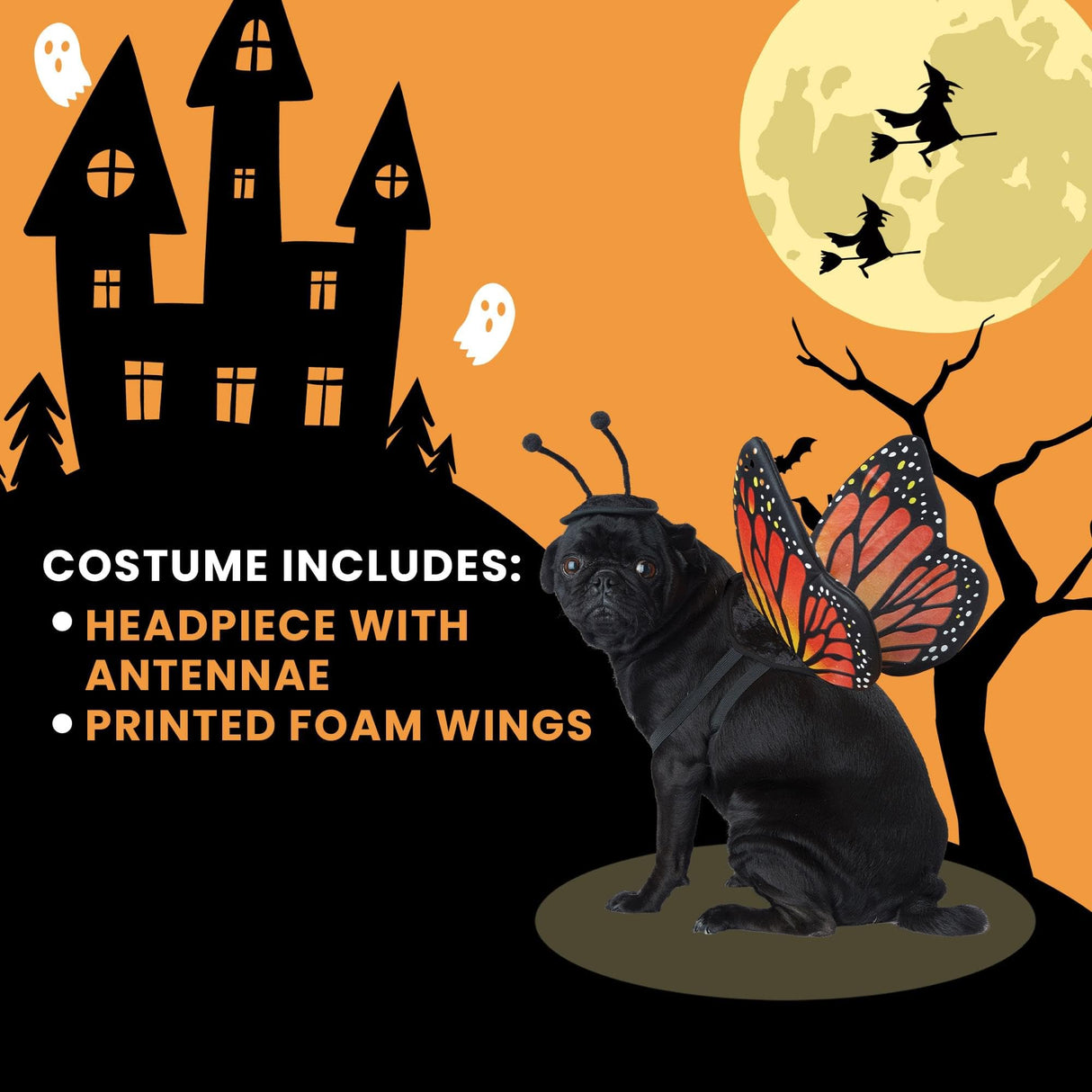 Calico, Monarch Butterfly Dog Costume Medium
