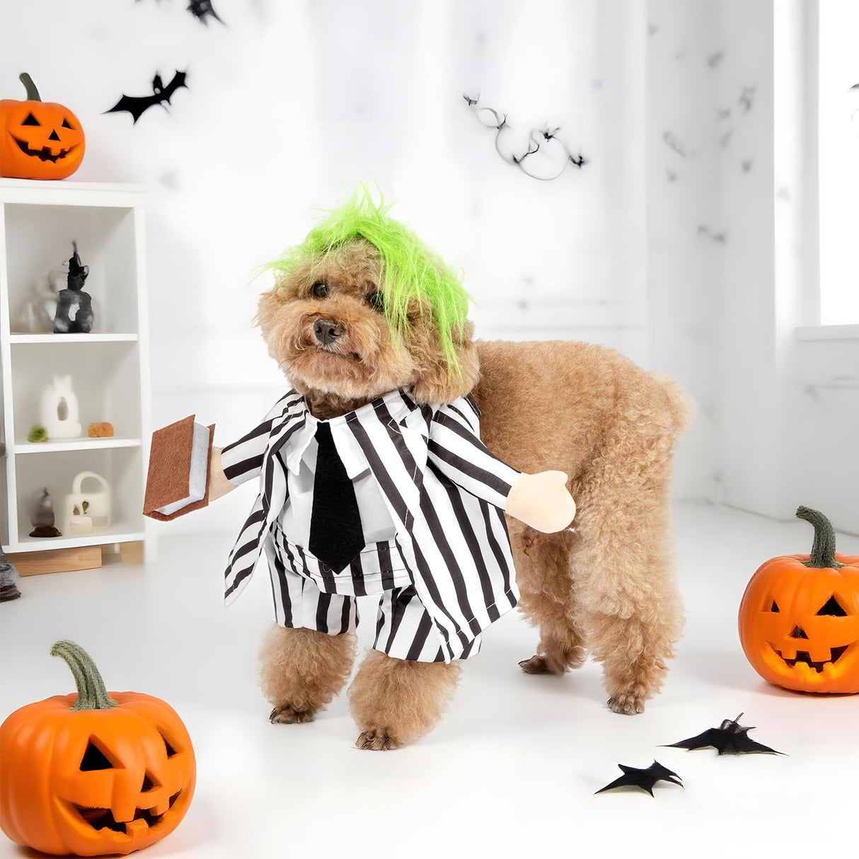 DELIFUR Dog Halloween Funny Costume - Pet Adorable Fantacy Clothes Cat Cosplay Apparel Dress Up for Cat and Small Dog Funny Outfit Adjustable (Suit, X-Small)
