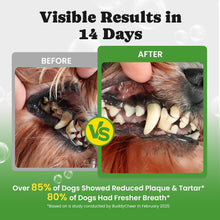 Load image into Gallery viewer, Dog Teeth Cleaning Powder, Dog Dental Powder and Cats Breath Freshener, Plaque Off Pet Tooth Cleaning lab co, Bad Breath & Tartar Remover for Dogs, Dog Teeth Cleaning with Enzymes- 60-Day Supply -Mint
