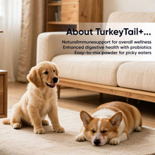 Load image into Gallery viewer, Puppy Lab Co Turkey Tail Mushroom for Dogs - Puppylabco Turkey Tail for Gut & Immune Supports, 100 Scoops | Bacon Flavor | Probiotics 100g (1)