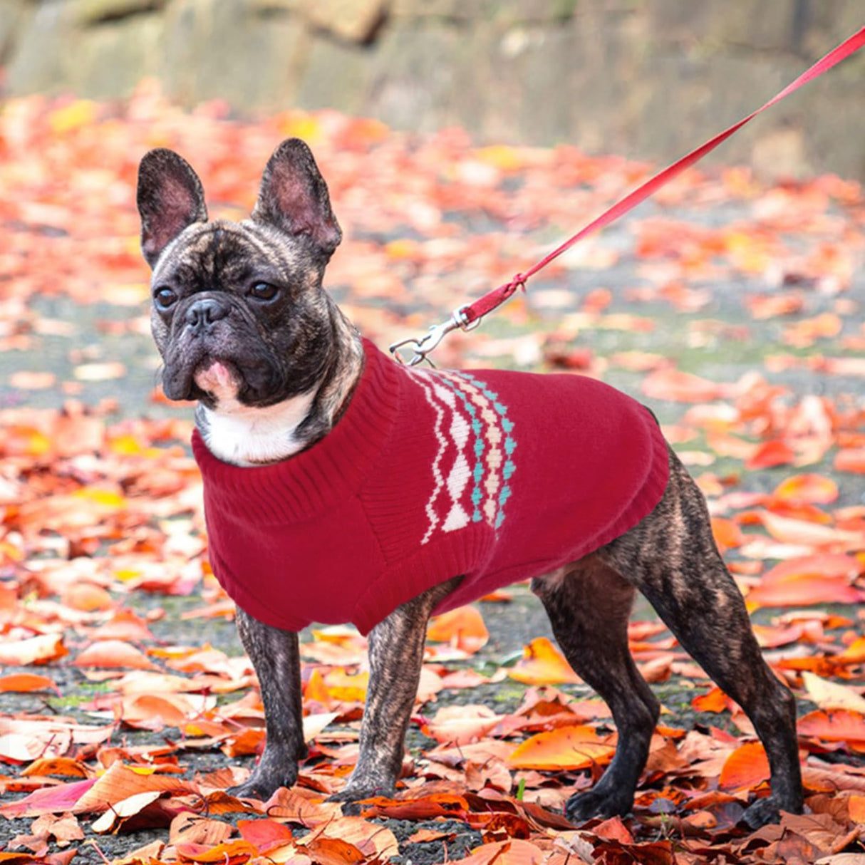 Kuoser Dog Sweater, Dog Sweaters for Large Size Dogs, Boy Girl Dogs Christmas Sweater, Pet Sweatshirt Outfits for Male Female, Warm Big Doggie Pullover Knitwear Clothes for Fall Winter, Red L
