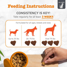 Load image into Gallery viewer, Zesty Paws Vet Strength Dog Allergy Relief Chews, Dog Probiotics for Itchy Skin and Ears, Smoked Cheese, 90ct