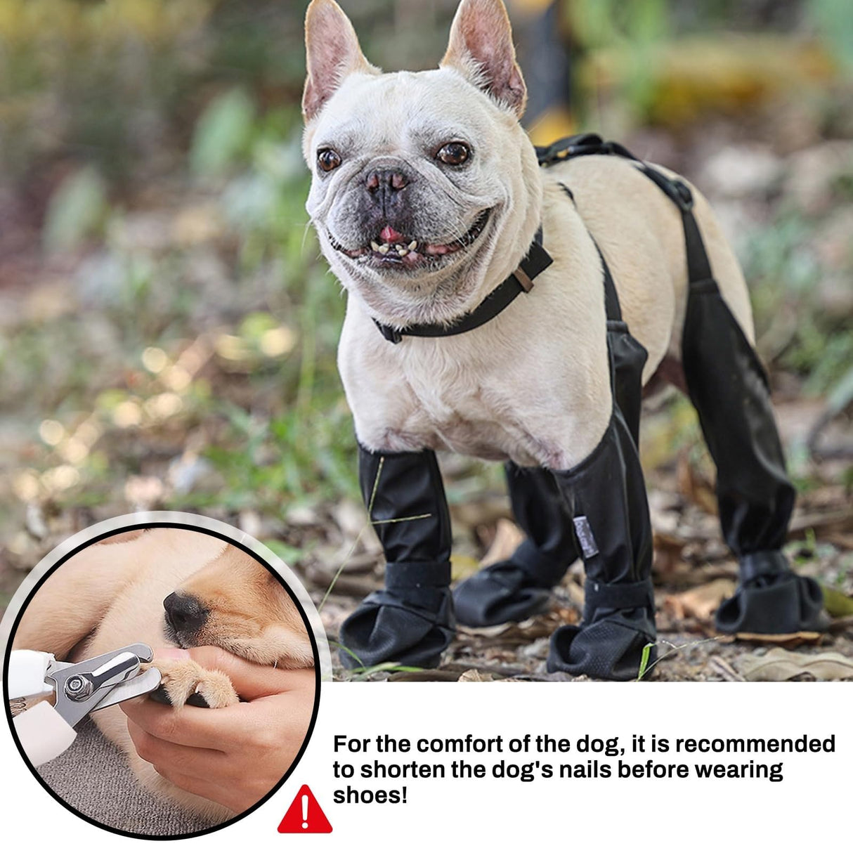 CAPT.SNOOZE Dog Boots Waterproof for Winter - Anti-Slip Paw Shoes for Snow & Rain | Non-Slip Reflective Pet Boots with Adjustable Straps, Small/Medium Dogs