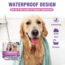 Load image into Gallery viewer, Tcllka Stress Separation Lasts 60 Days Relieve Bad Behavior 25 Inches Size Flexible Adjustable for All Small Medium and Large Dog