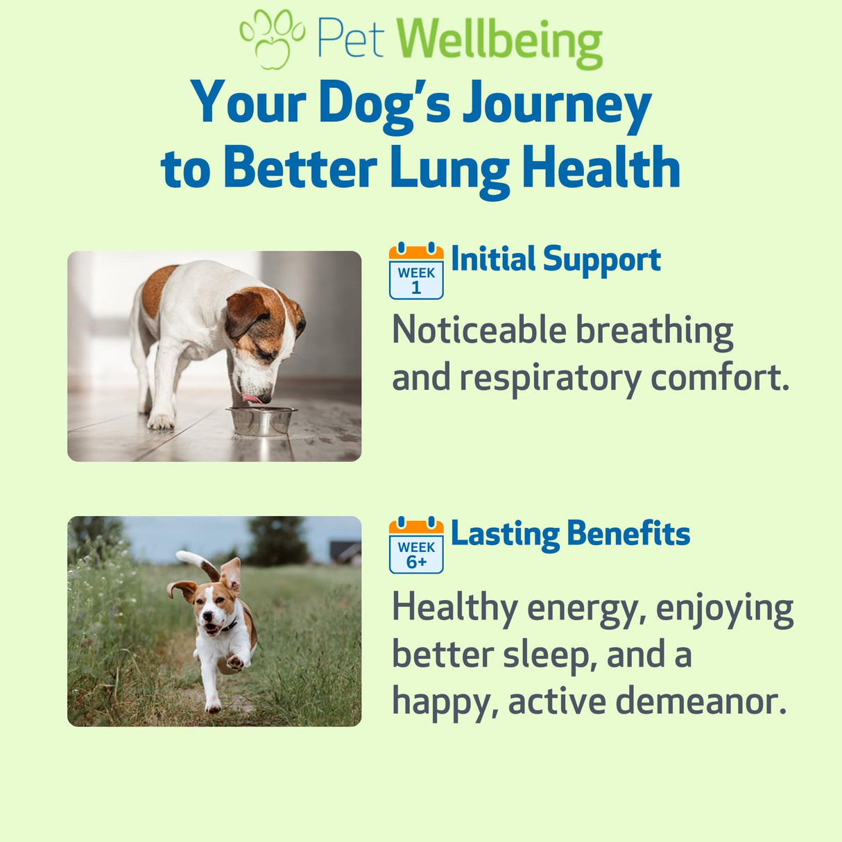 Pet Wellbeing Lung Gold for Dogs - Respiratory Support for Canine Lungs, Healthy Immune Defenses, Lower Respiratory Tract - NASC Certified & Vet-Formulated - 2 oz Liquid