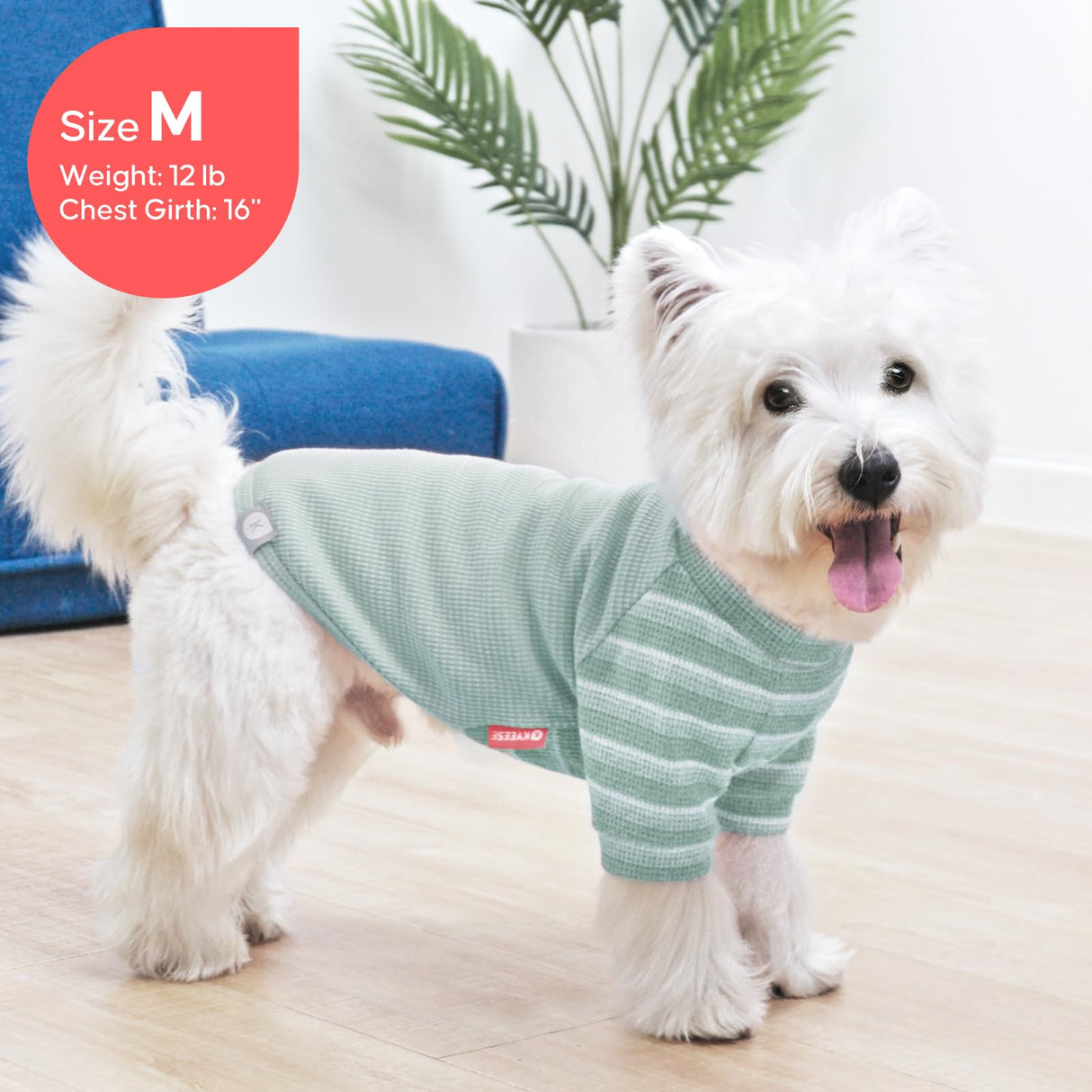 KYEESE 2Pack Waffle Dog Shirt with Sleeves, Lightweight Dog T Shirts for Small Medium Dogs Boy Girl, Breathable Pet Tee Shirts Soft Dogs Clothes for Daily Wear, Green+Striped, XL