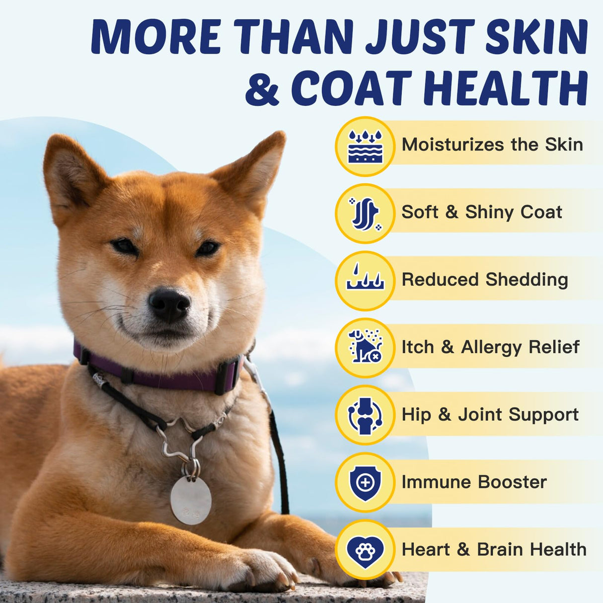 ZEBORA Salmon Oil for Dogs, Omega 3 Fish Oil for Dogs Skin and Coat with EPA & DHA, Zinc, Biotin, Quercetin, Vitamin C & E for Dog Allergy Relief, Hot Spot Treatment, Control Dog Shedding, 180 Chews