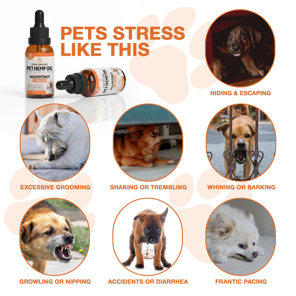 Organic Неmp Oil for Dogs Cats (2-Pack), Supports Hip Joint Health, Rеlaxation & Slеep, Pet Calming Drops, Dog Anxiеty Relief & Strеss & Pаin Rеlief for Dogs