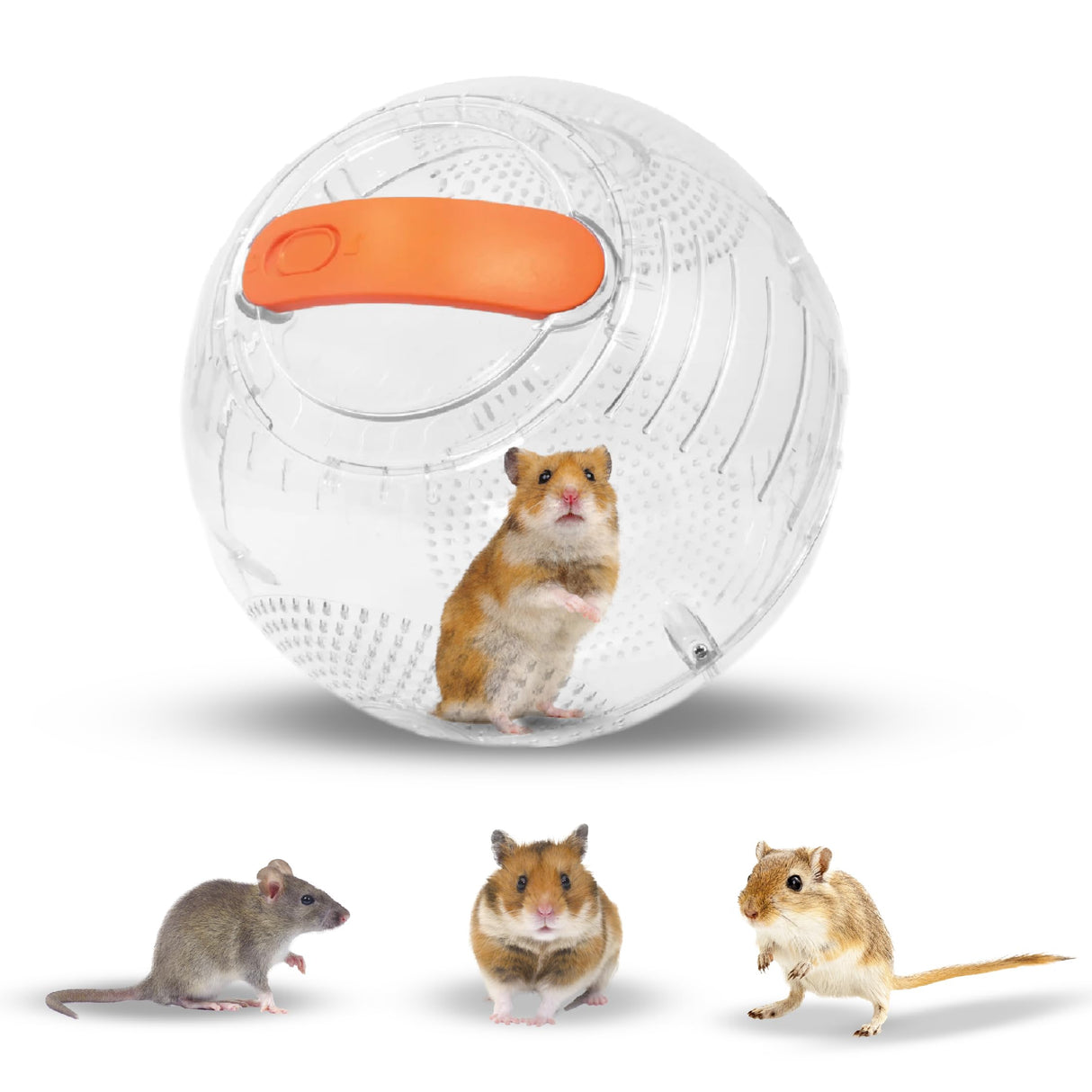 Happy Habitats Clear Hamster Exercise Ball (7”) – Sturdy Dwarf Hamster Ball for Safe, Active Play – Ventilated Small Animal Toys for Gerbils, Mice & Other Small Pets – Must-Have Pet Rat Accessories
