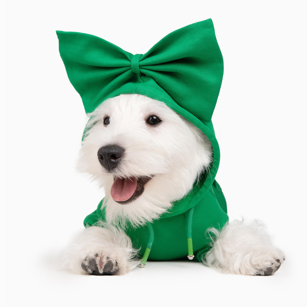 Allisandro Dog Hoodie with Interchangeable Bow Ties, Puppy Exquisite Pocket Doggie Winter Clothes, Pet Hooded Sweatshirt, L, Green