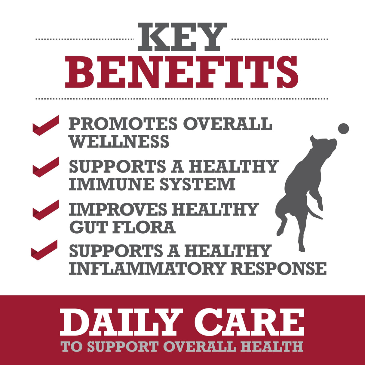 WINPRO Pet Daily Care Chews for Dogs, 60 Soft Chews, Plasma Powered, Grain Free Supplement for Dogs with Probiotics to Support A Healthy Immune System