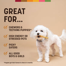 Load image into Gallery viewer, Earth Animal No Hide Stix - Long Lasting Rawhide Free Small Dog Chews Sticks, Chicken - 20 Count Value Pack