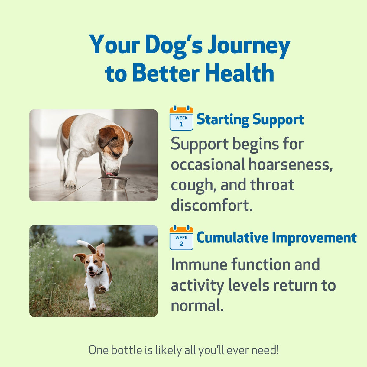 Pet Wellbeing Throat Gold for Dogs - Vet-Formulated - Soothes Throat Discomfort, Hoarseness, Leash Strain, Occasional Cough in Dogs - Natural Herbal Supplement 2 oz (59 ml)