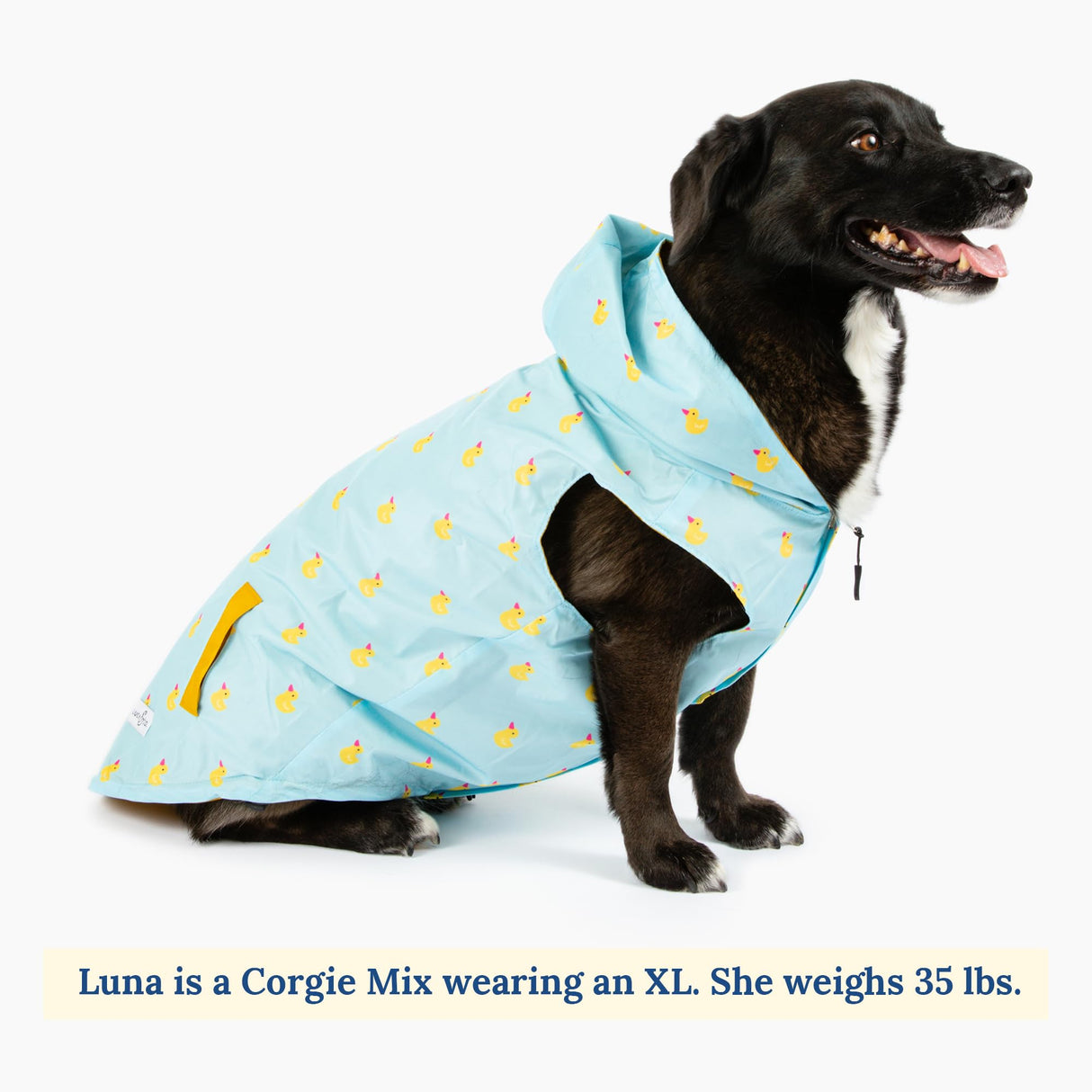 Lucy & Co. Lucky Ducky - Reversible Raincoat for Dogs & Pets - Dog Raincoat - Fashionable and Comfy Water Proof Adjustable Poncho for Canines - Medium - Yellow Blue Rubber Duck