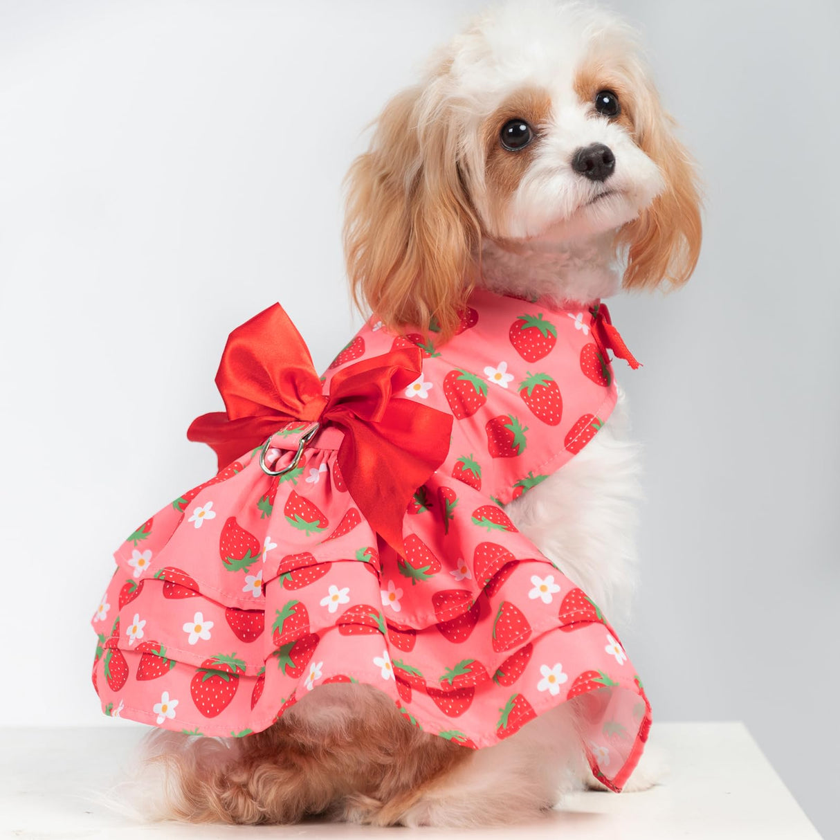 PUPTECK Cute Dog Dress with Bowknot and Leash Ring, Soft Breathable Dog Clothes Puppy Princess Girl Outfit, Pet Apparel Costume for Small Medium Sized Dogs, Pink Strawberry XS