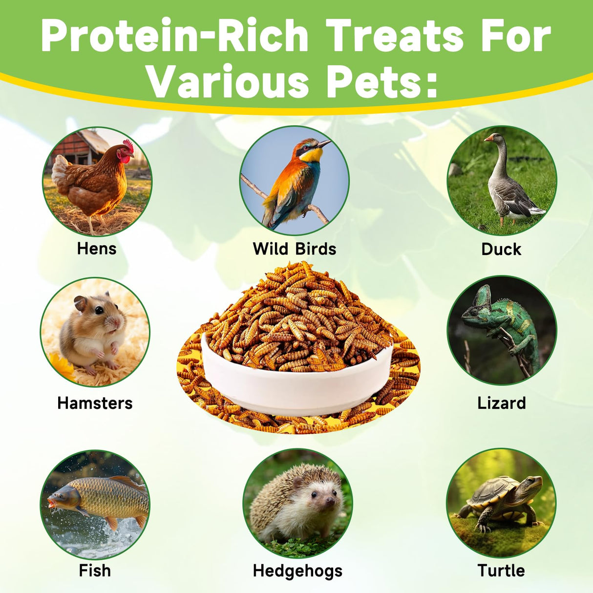 MTART 10LB Dried Black Soldier Fly Larvae Treat for Chicken, 100% Natural Non-GMO More Calcium Than Dried Mealworms High Protein Chicken Feed for Birds, Ducks, Layer Hens