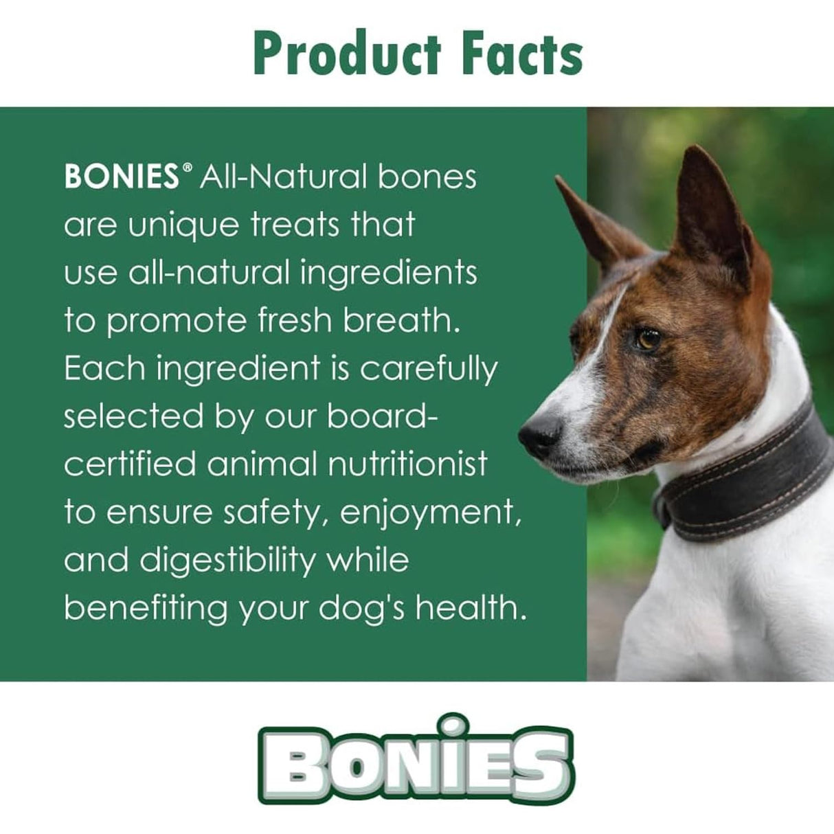 Bonies Natural Skin & Coat Formula Small-Sized Single Bone - Promote Silky Coat & Healthy Skin, Healthy Teeth & Fresh Breath, Low Calories - Chicken Flavor, Small Dogs, 15 Count