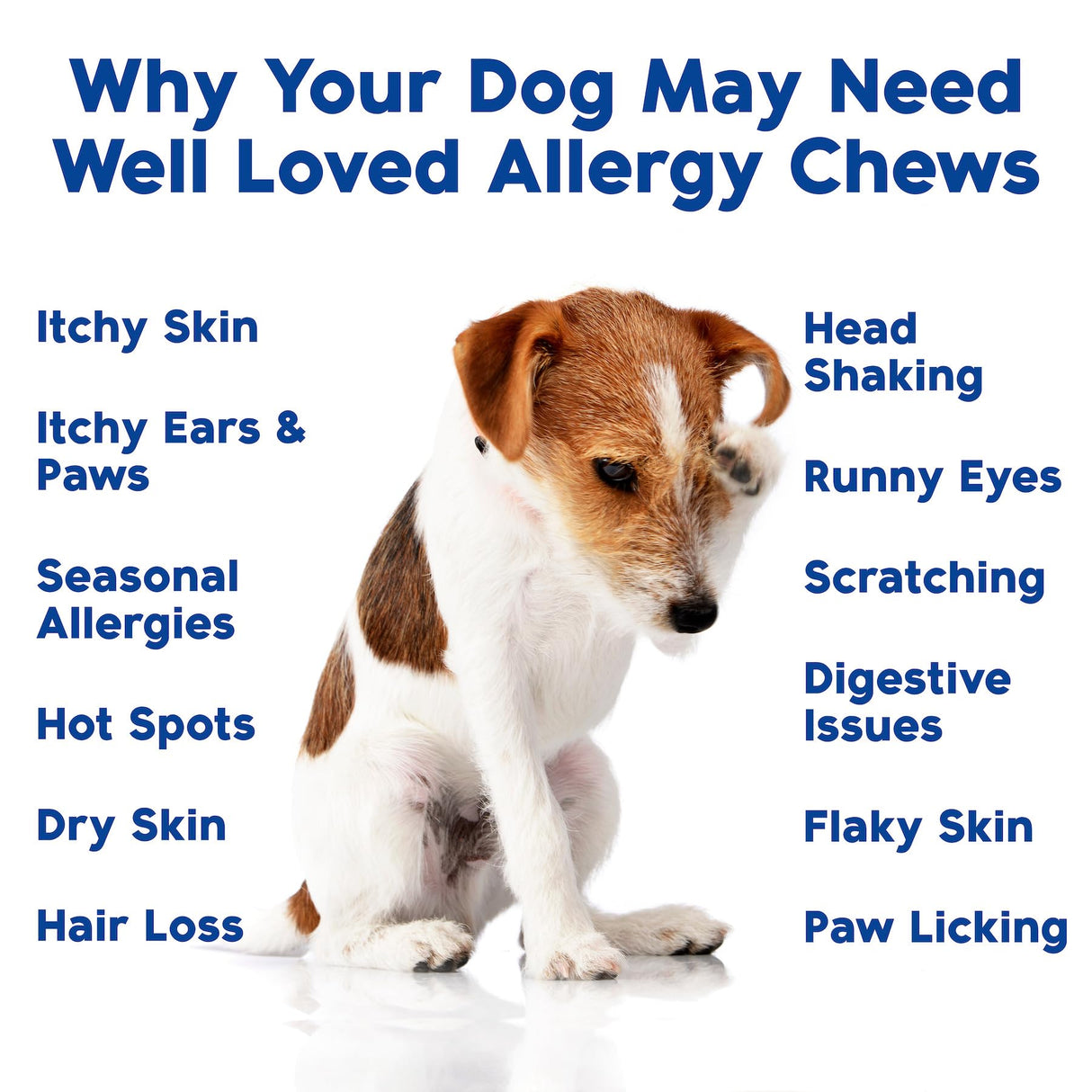 Well Loved Dog Allergy Chews - Dog Allergy Relief, Itching Skin Relief, Hot Spot Treatment & Seasonal Allergies, Vet Developed, Anti Itch Skin Irritation Treatment, Made in USA, 120 Chews