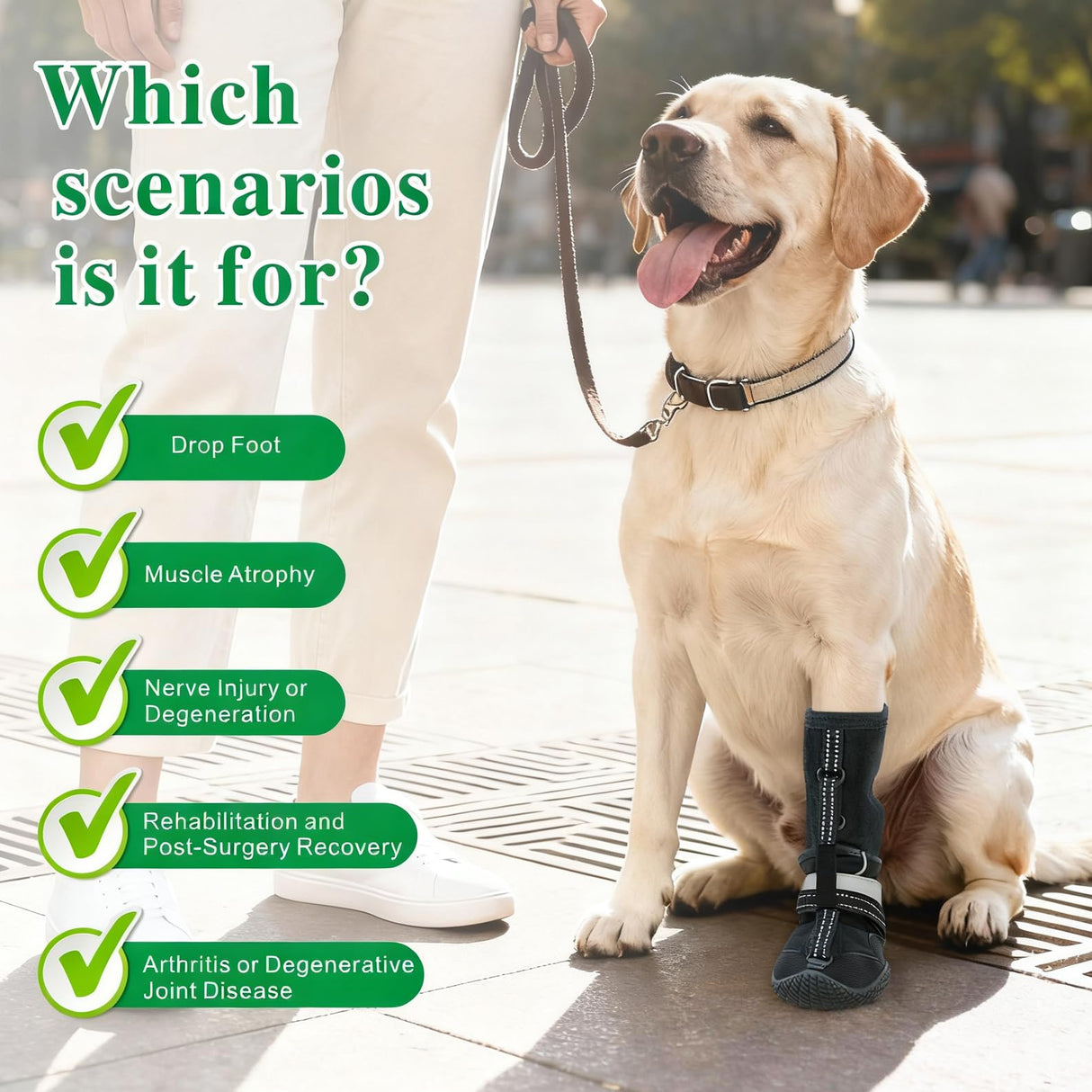 Idepet Dog Drop Foot Brace Strap On (No Knuckling Boot Brace) — Dog Boot Leg Braces for Leg Support, Dog Shoes Lift Toes for Foot Issues, Arthritis, Pet Corrector for Dogs (5)